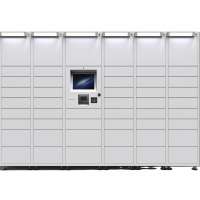 Steel Smart Parcel Delivery Locker Intelligent Indoor Logistic Electronic Parcel Storage Cabinets  Postal Express Lockers