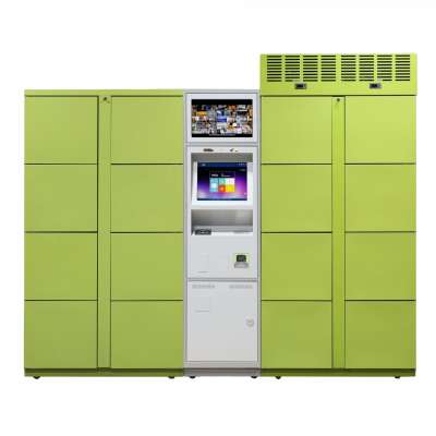 Electronic Smart Parcel Locker Controller Delivery Outdoor  School Office