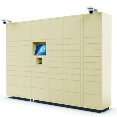 Smart Electronic Parcel Delivery Locker Intelligent Parcel Lockers for Gym/School